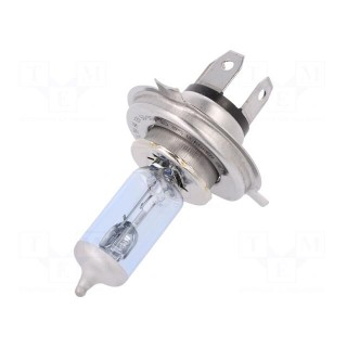 Filament lamp: automotive | P43t | white-blue | 12V | 60/55W | H4 | 3600K