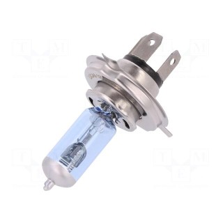Filament lamp: automotive | P43t | dark blue | 12V | 100/80W | RALLY | H4