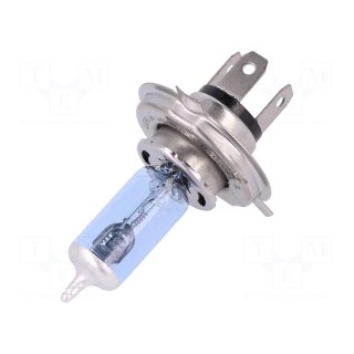 Filament lamp: automotive | P43t | white-blue | 24V | 75/70W | BLUE | H4
