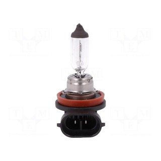 Filament lamp: automotive | PGJ19-2 | transparent | 12V | 55W | LLB