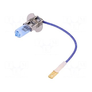 Filament lamp: automotive | PK22s | white-blue | 24V | 70W | BLUE | H3