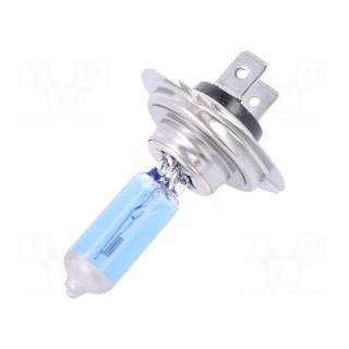 Filament lamp: automotive | PX26d | blue | 12V | 100W | VISIONPRO SPORT