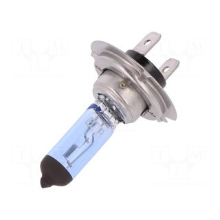 Filament lamp: automotive | PX26d | dark blue | 12V | 100W | RALLY | H7