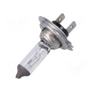 Filament lamp: automotive | H7 | 12V | 55W | LLB