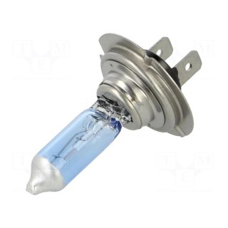 Filament lamp: automotive | PX26d | white-blue | 12V | 55W | BLUE50