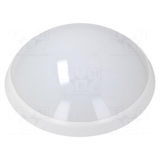 Lamp: LED lighting fixture | PANTERA LED | polycarbonate | 4000K