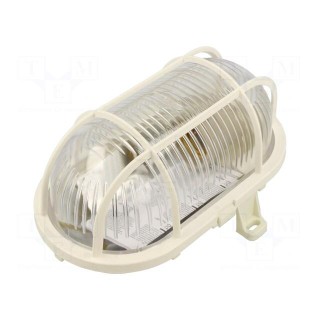Lamp: lighting fixture | OVAL100 | polycarbonate | E27 | IP44 | oval