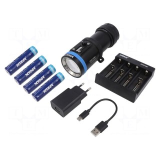 Torch: LED diving | L: 149.8mm | 1000lm,2000lm,4000lm | Ø: 59mm | IPX8