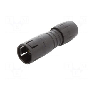 Connector: circular | plug | 620 | male | PIN: 4 | unshielded | 2.5A | IP67