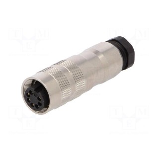 Connector: M16 | plug | 423 | female | PIN: 7 | shielded | silver plated