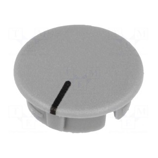Cap | ABS | grey | push-in | Pointer: black | Application: A2523,A2623