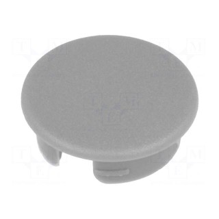 Cap | ABS | grey | push-in | round | A2540,A2640