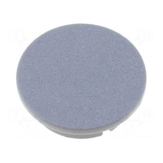 Cap | plastic | grey | push-in | Application: G4311.6131