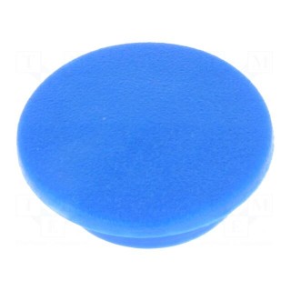 Cap | plastic | push-in | blue | Application: K21