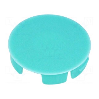 Cap | polyamide | aquamarine | push-in | Application: A3031,A3131