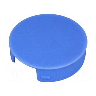 Cap | polyamide | blue | push-in | Application: A3023,A3123