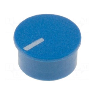 Cap | thermoplastic | push-in | Pointer: white | blue