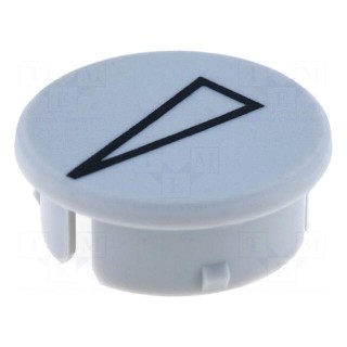 Cap | with pointer | polyamide | grey | Application: for G21G knobs