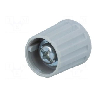 Knob | polyamide | Øshaft: 6mm | grey | clamp mechanism with screw