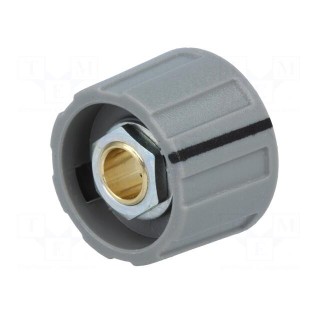Knob | with pointer | ABS | Øshaft: 6mm | Ø23x15.5mm | grey | A2623 | A4123