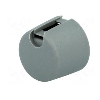 Knob | with pointer | plastic | Øshaft: 4mm | Ø20x16mm | grey | A10