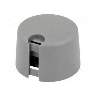 Knob | with pointer | plastic | Øshaft: 6.35mm | Ø24x16mm | grey | A10