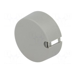 Knob | with pointer | plastic | Øshaft: 6mm | Ø40x16mm | grey | push-in