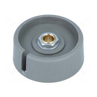 Knob | with pointer | polyamide | Øshaft: 6mm | Ø40x16mm | grey