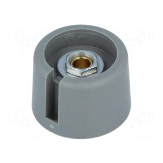 Knob | with pointer | polyamide | Øshaft: 4mm | Ø23x16mm | grey