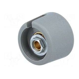 Knob | with pointer | polyamide | Øshaft: 4mm | Ø23x16mm | grey