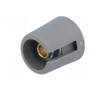 Knob | with pointer | polyamide | Øshaft: 6.35mm | Ø16x16mm | grey