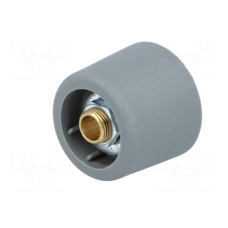 Knob | without pointer | polyamide | Øshaft: 6.35mm | Ø20x16mm | grey
