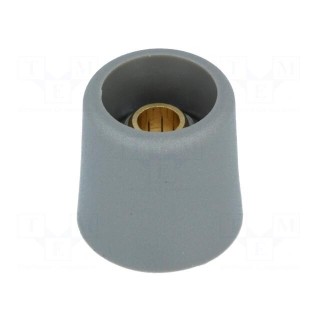Knob | without pointer | polyamide | Øshaft: 6mm | Ø16x16mm | grey