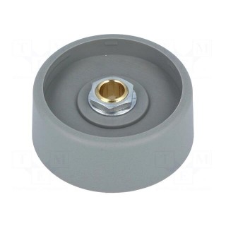 Knob | without pointer | polyamide | Øshaft: 6mm | Ø40x16mm | grey