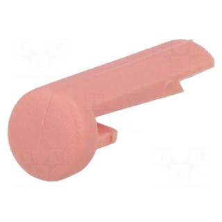 Pointer | plastic | pink | push-in | pin | A10
