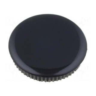 Cap | black | Mounting: push-in | plastic | G429.611