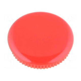 Cap | red | Mounting: push-in | plastic | G429.611