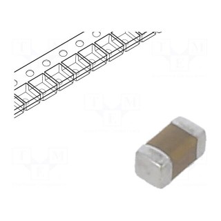 Capacitor: ceramic | MLCC | 220nF | 10V | X5R | ±10% | SMD | 0402