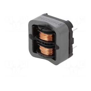 Inductor: wire | THT | 40.5mH | 700mA | 610mΩ | -25÷120°C | 250VAC