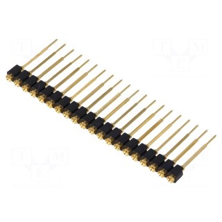 Pin header | pin strips | female | PIN: 20 | straight | 2.54mm | THT | 1x20