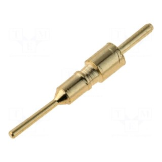 Pin header | pin strips | male | PIN: 1 | straight | 2.54mm | THT | 1x1