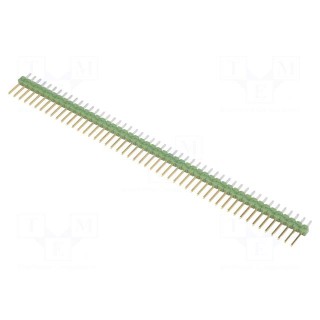 Pin header | pin strips | male | PIN: 50 | straight | 2.54mm | THT | 1x50