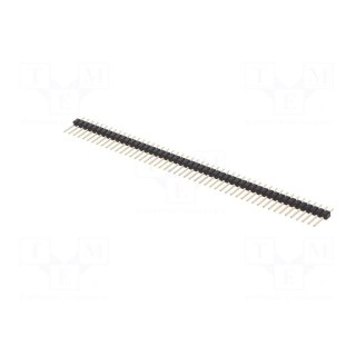 Pin header | pin strips | male | PIN: 50 | straight | 2.54mm | THT | 1x50