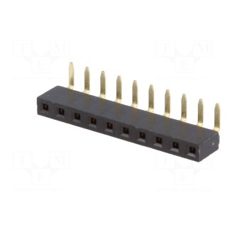 Socket | pin strips | female | PIN: 10 | angled 90° | 2.54mm | THT | 1x10