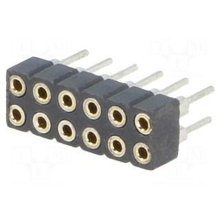Socket | pin strips | female | PIN: 12 | turned contacts,low profile