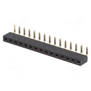 Socket | pin strips | female | PIN: 15 | angled 90° | 2.54mm | THT | 1x15