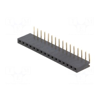 Socket | pin strips | female | PIN: 16 | angled 90° | 2.54mm | THT | 1x16