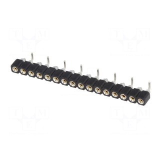 Socket | pin strips | female | PIN: 16 | turned contacts | vertical