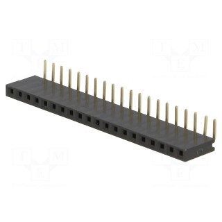 Socket | pin strips | female | PIN: 20 | angled 90° | 2.54mm | THT | 1x20