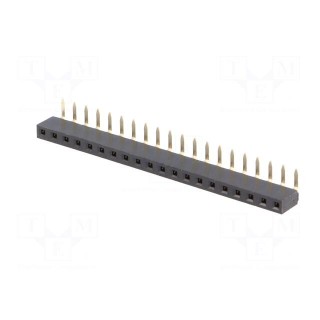 Socket | pin strips | female | PIN: 20 | angled 90° | 2.54mm | THT | 1x20